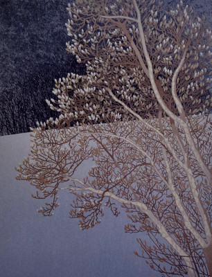 秋山泉、【樹間】、希少な額装用画集より、新品額装付、状態良好 T-BOX 2023/07/07 AB